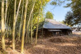 千葉県勝浦市白井久保