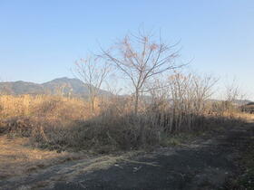 熊本県上益城郡御船町大字高木