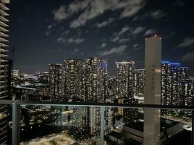 ＨＡＲＵＭＩ　ＦＬＡＧ　ＰＡＲＫ　ＶＩＬＬＡＧＥ　Ｔ棟