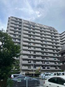 ライオンズシティ川口