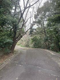 静岡県下田市須崎