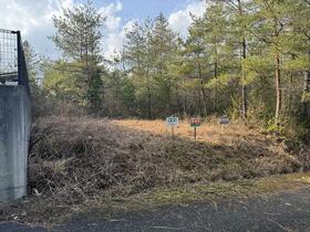 京都府船井郡京丹波町実勢向山