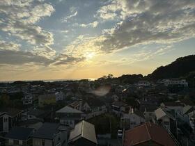 アデニウム葉山一色