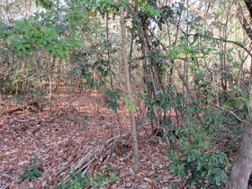 愛知県みよし市黒笹町伊保道