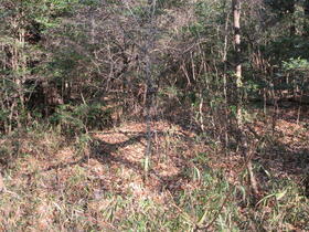 愛知県みよし市福谷町下り松