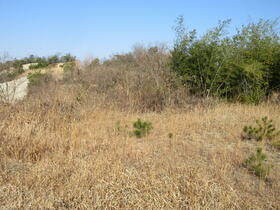 愛知県長久手市岩作三ケ峯