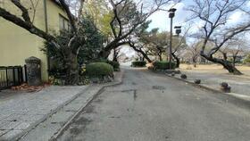 徳島県吉野川市鴨島町鴨島