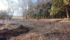 山梨県北杜市長坂町白井沢