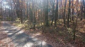 山梨県北杜市小淵沢町上笹尾