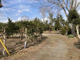千葉県長生郡長生村本郷