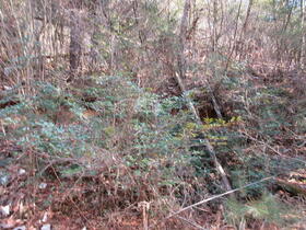 愛知県豊田市東郷町仲平下