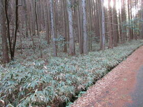 愛知県豊田市小原田代町西ケ沢