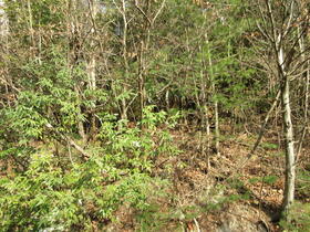 愛知県豊田市大洞町鎌ケ平