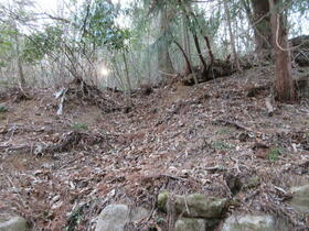 愛知県豊田市上脇町日影