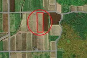 滋賀県高島市新旭町饗庭