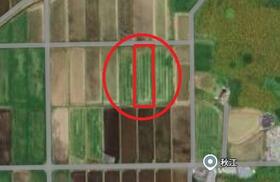 滋賀県高島市新旭町饗庭