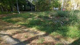 山梨県北杜市長坂町大井ヶ森