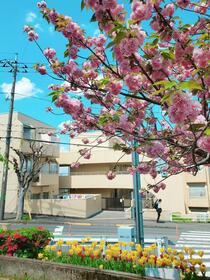 東京都日野市南平１丁目