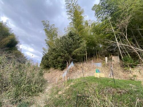 Land, 和歌山県 和歌山市
