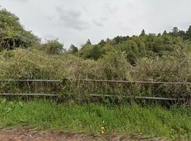 茨城県稲敷郡阿見町大字掛馬