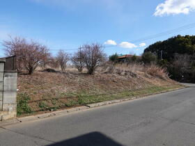 埼玉県さいたま市岩槻区大字飯塚