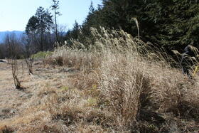 山梨県北杜市小淵沢町上笹尾