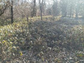 長野県北佐久郡軽井沢町大字長倉