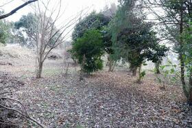 熊本県菊池郡大津町大字杉水