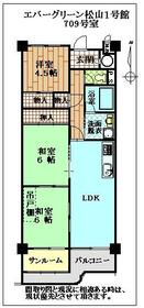 エバーグリン松山１号館