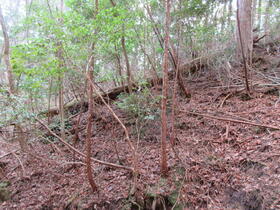 愛知県豊田市梨野町大下り