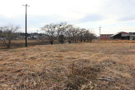 大分県豊後大野市三重町赤嶺