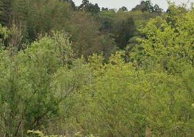 茨城県稲敷郡阿見町大字掛馬