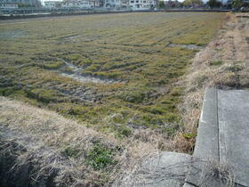 奈良県大和郡山市稗田町
