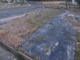 愛知県愛西市稲葉町本郷