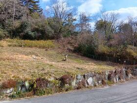 兵庫県三田市小野