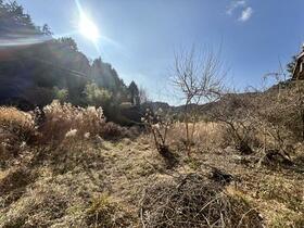 大分県中津市本耶馬渓町折元