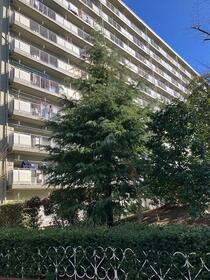 千葉県松戸市新松戸５丁目