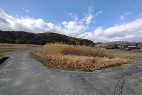 京都府木津川市加茂町大野大野