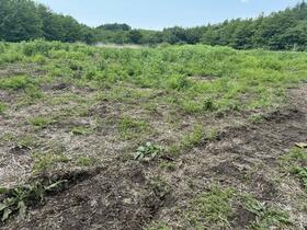 岩手県二戸郡一戸町小鳥谷字女鹿口