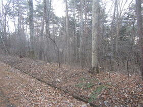 長野県北佐久郡軽井沢町大字長倉千ケ滝中区