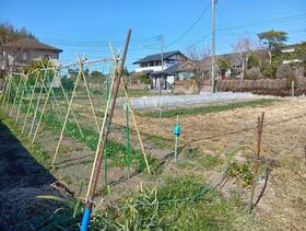 千葉県茂原市早野