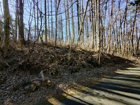 山梨県南都留郡鳴沢村−