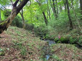 栃木県那須郡那須町大字高久乙