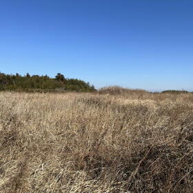 茨城県神栖市賀