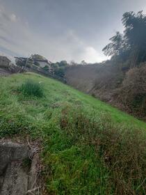 愛媛県今治市国分１丁目