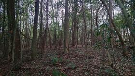 岡山県井原市門田町