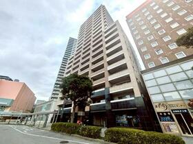 アパタワーズ八千代緑が丘　１１階　ペット飼育可