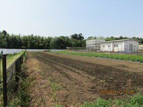 熊本県菊池市木柑子