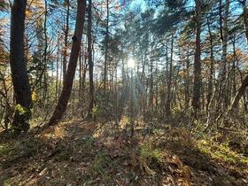 長野県下高井郡山ノ内町大字夜間瀬