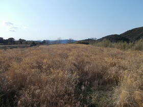 兵庫県南あわじ市八木馬回